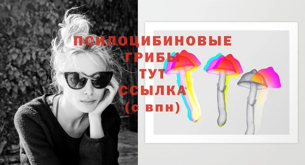 jwh Козельск