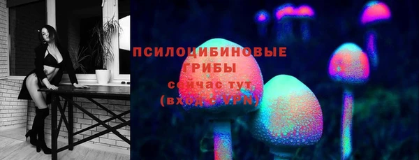 гашик Краснотурьинск