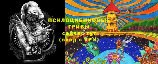 спайс Кукмор