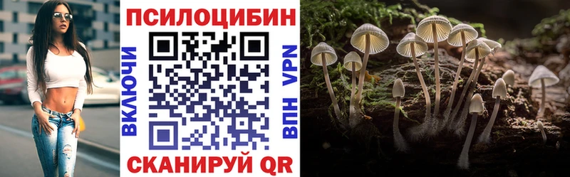 дарнет шоп  Катайск  Галлюциногенные грибы GOLDEN TEACHER 